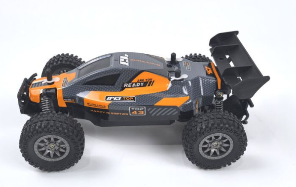 3147 ROOKIE-Fighter Buggy 1:18 2WD DF RTR